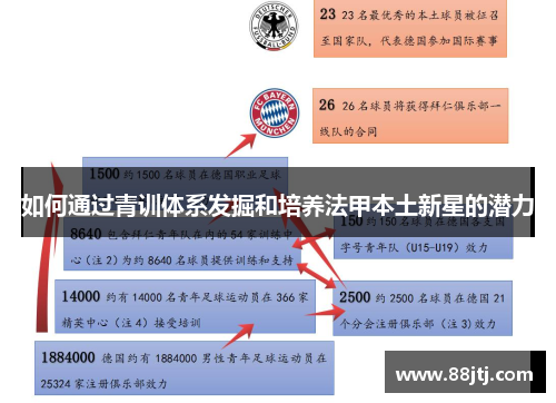 如何通过青训体系发掘和培养法甲本土新星的潜力